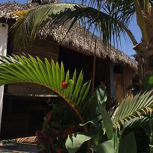 Villa de 1 Dormitorio